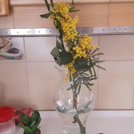 Da Mia Zia Отель типа 